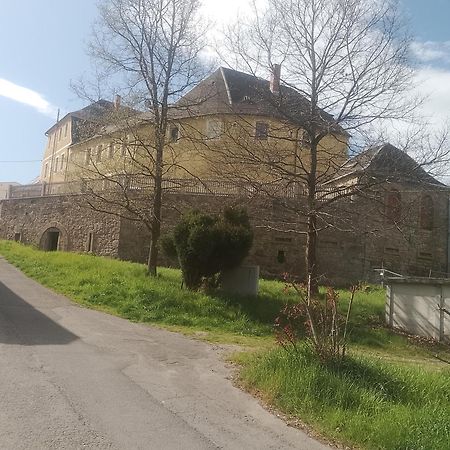 Ferienwohnung Im Rittergut Plohn 300 Meter Zum Freizeitpark Lengenfeld  Exterior foto